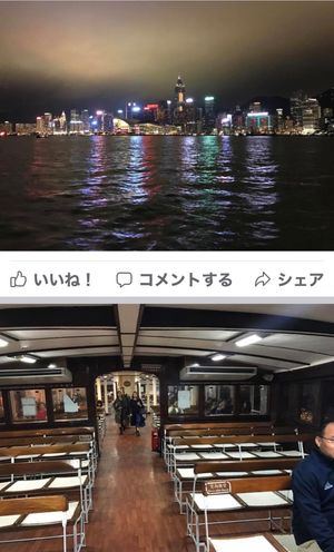 2019.11.23

音楽とネオンの采配が合ってないけど、すごい
毎晩2...