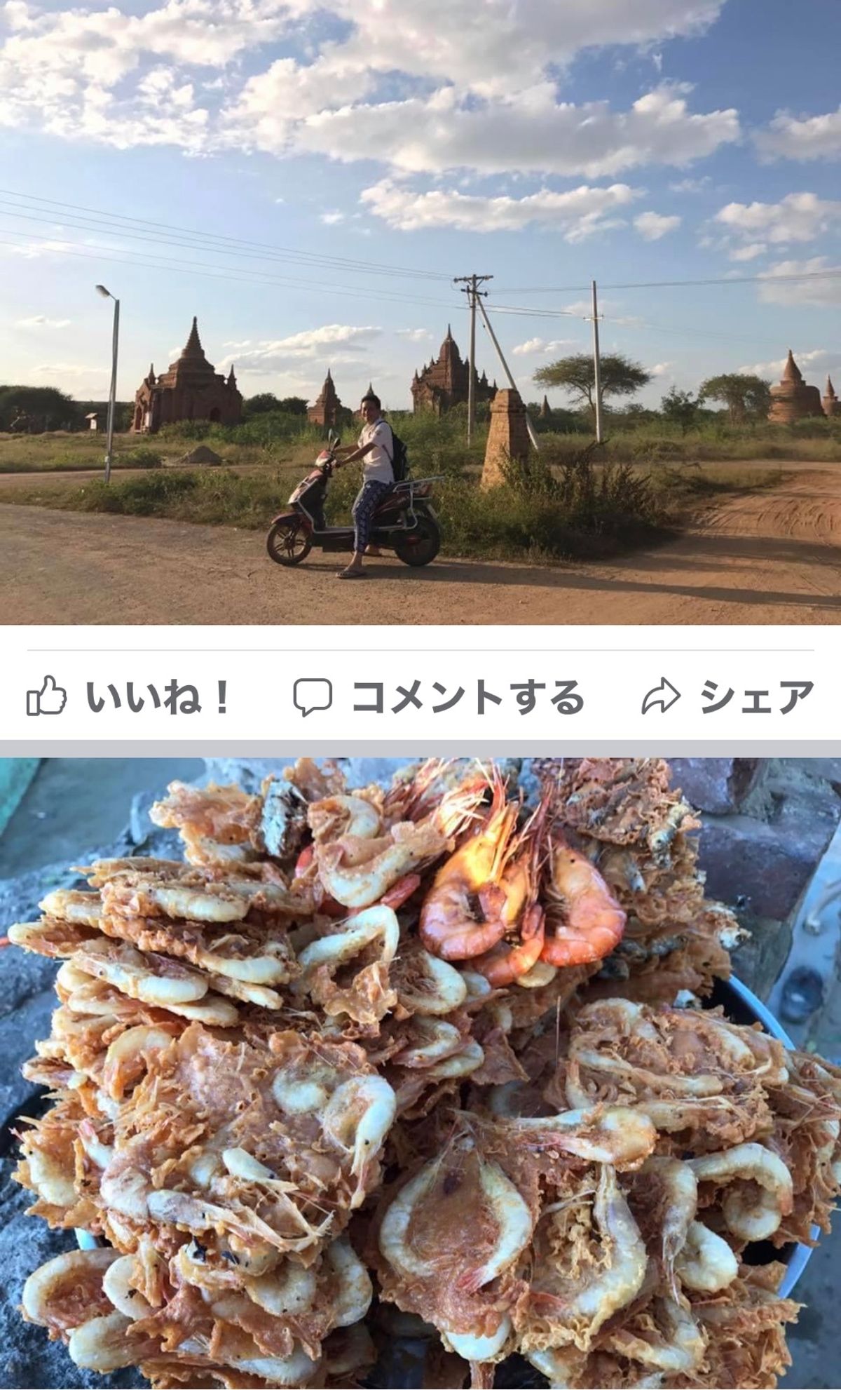 2016.11.27

エビ天3枚1000k=86円
美味い

女の子の托鉢