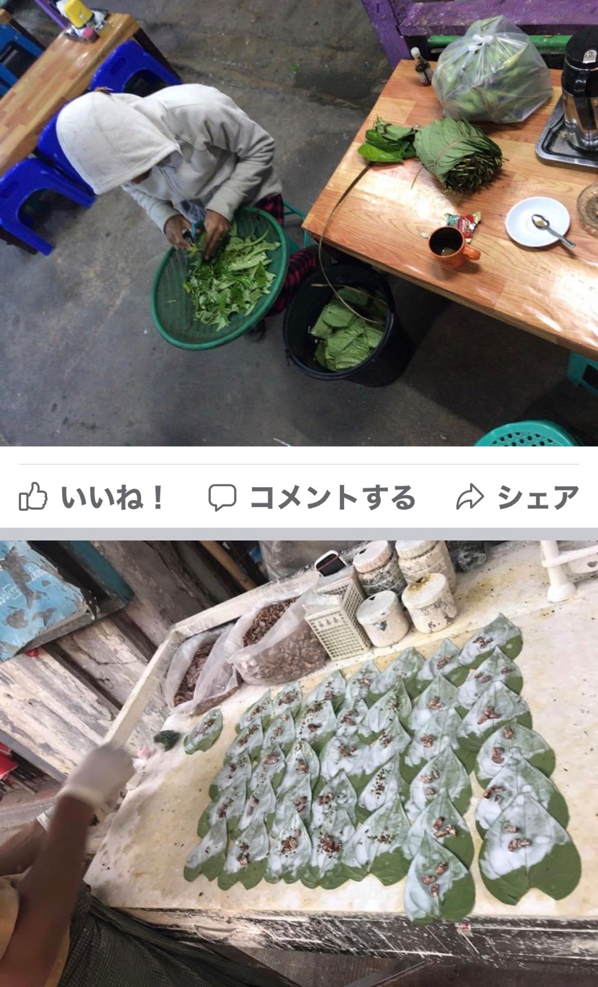 2016.11.30
ライトアップバージョン
寒い〜〜ス 風が冷たい 標高...