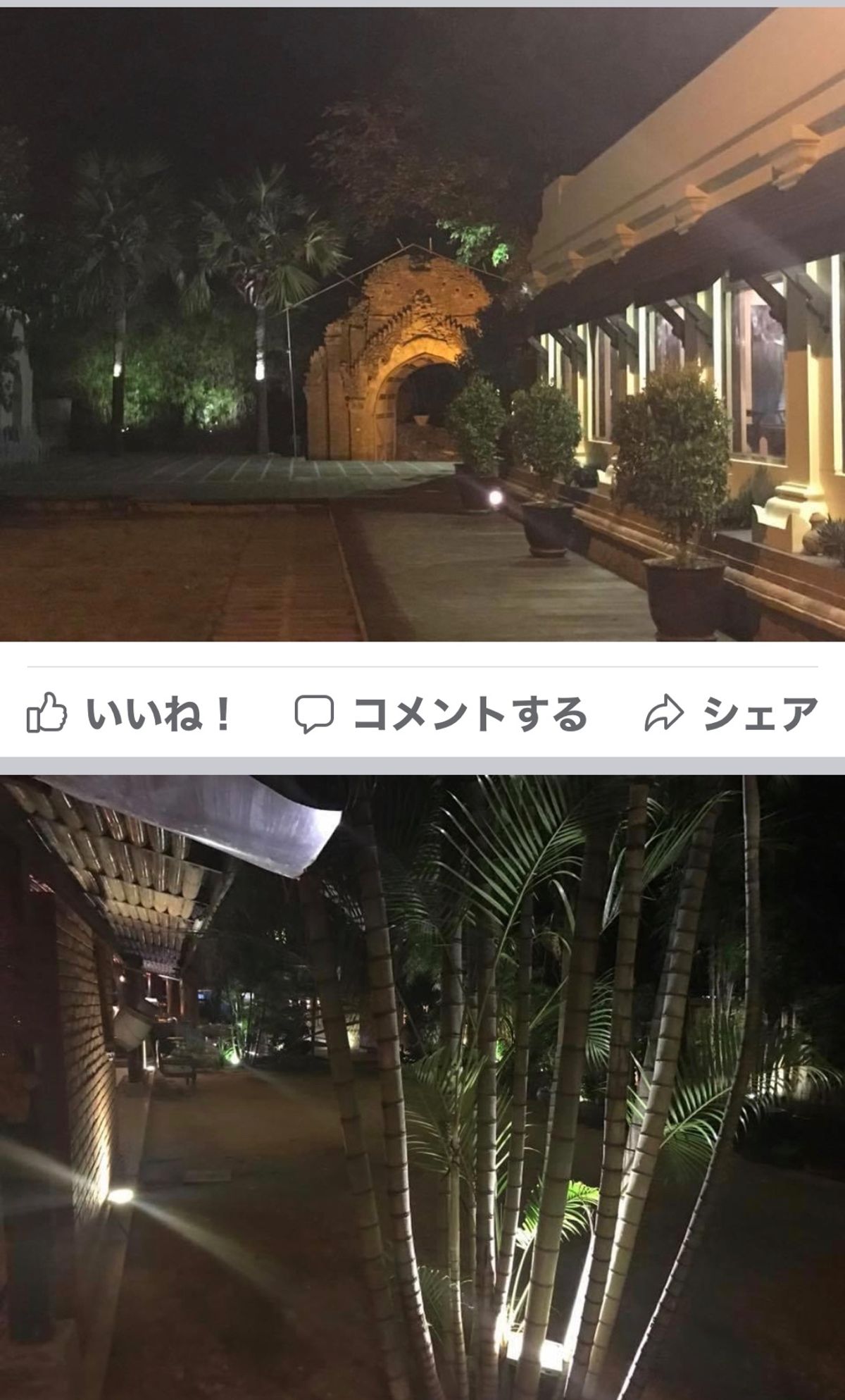 2016.11.27

たこ焼き？
うずらの卵焼きです。
4つで1000k...