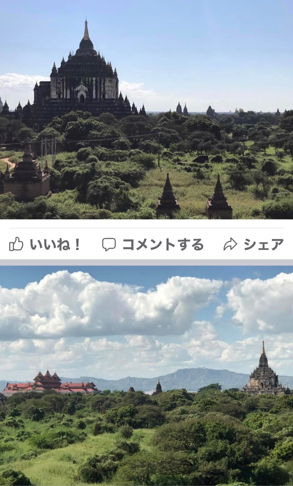 2016.11.26
中国人のドリーさんが、
名カメラマン？
撮ってくれる...