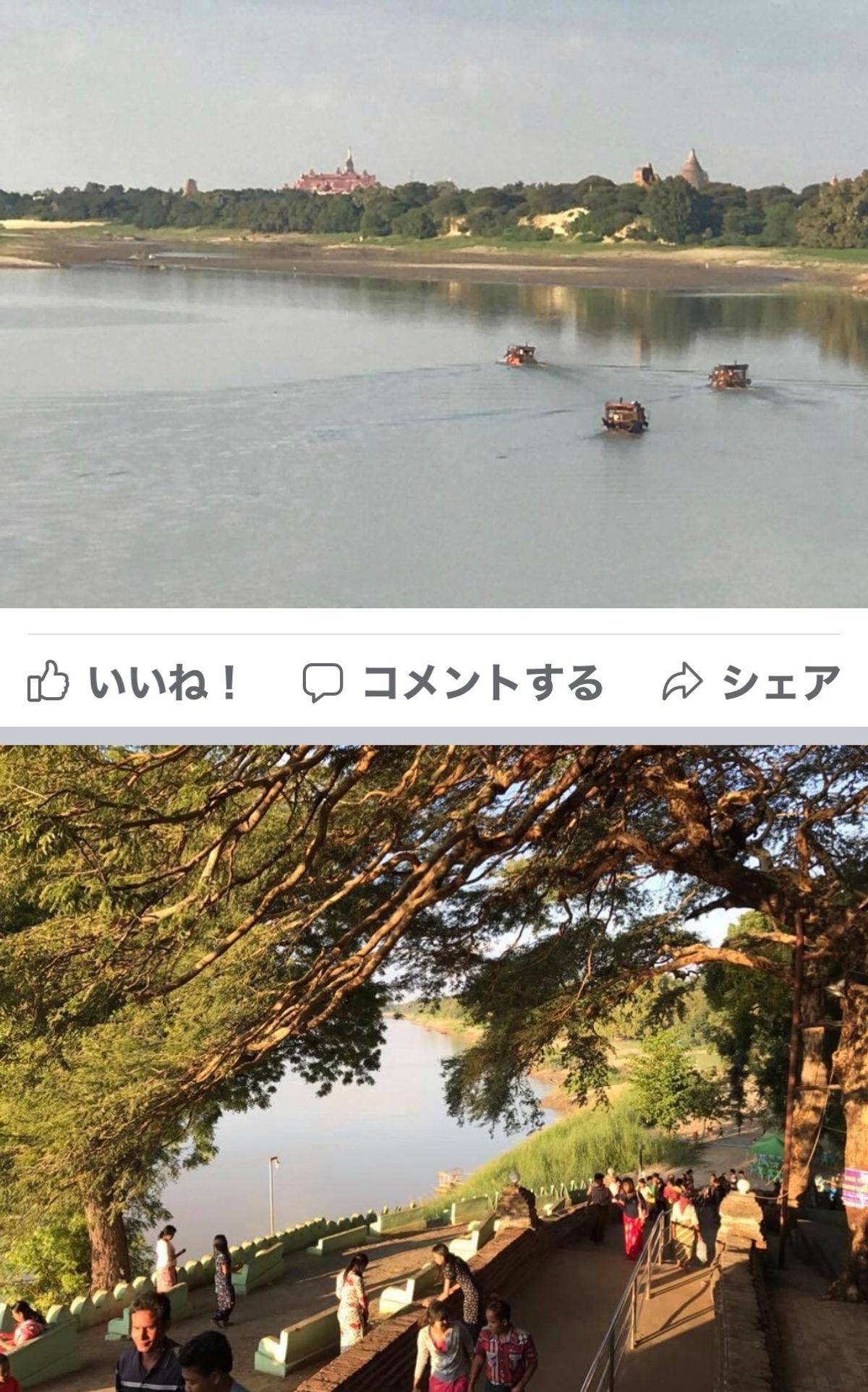 2016.11.27

エビ天3枚1000k=86円
美味い

女の子の托鉢