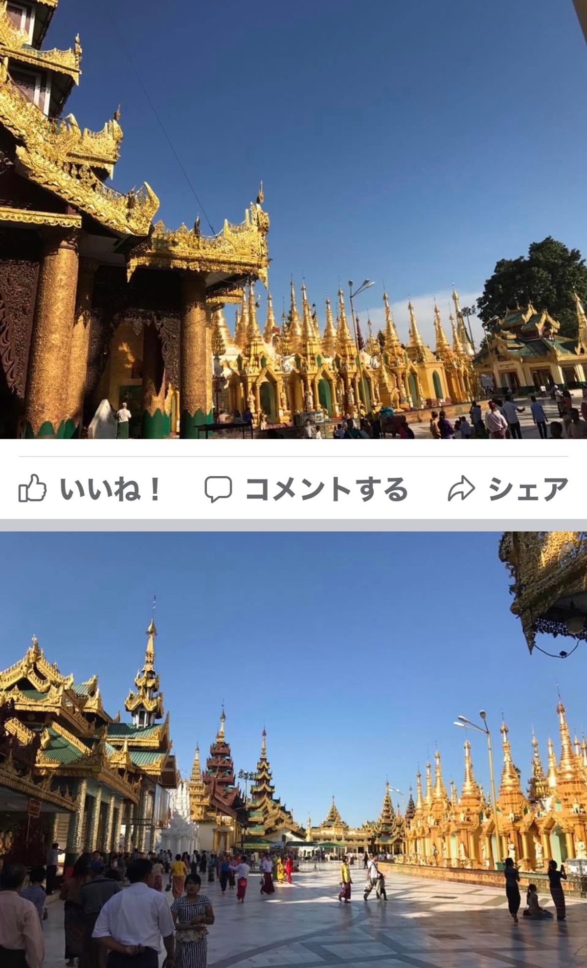 2016.11.24

暑い暑い
歩いた歩いたパゴダ(金仏舎利塔)
外国人...