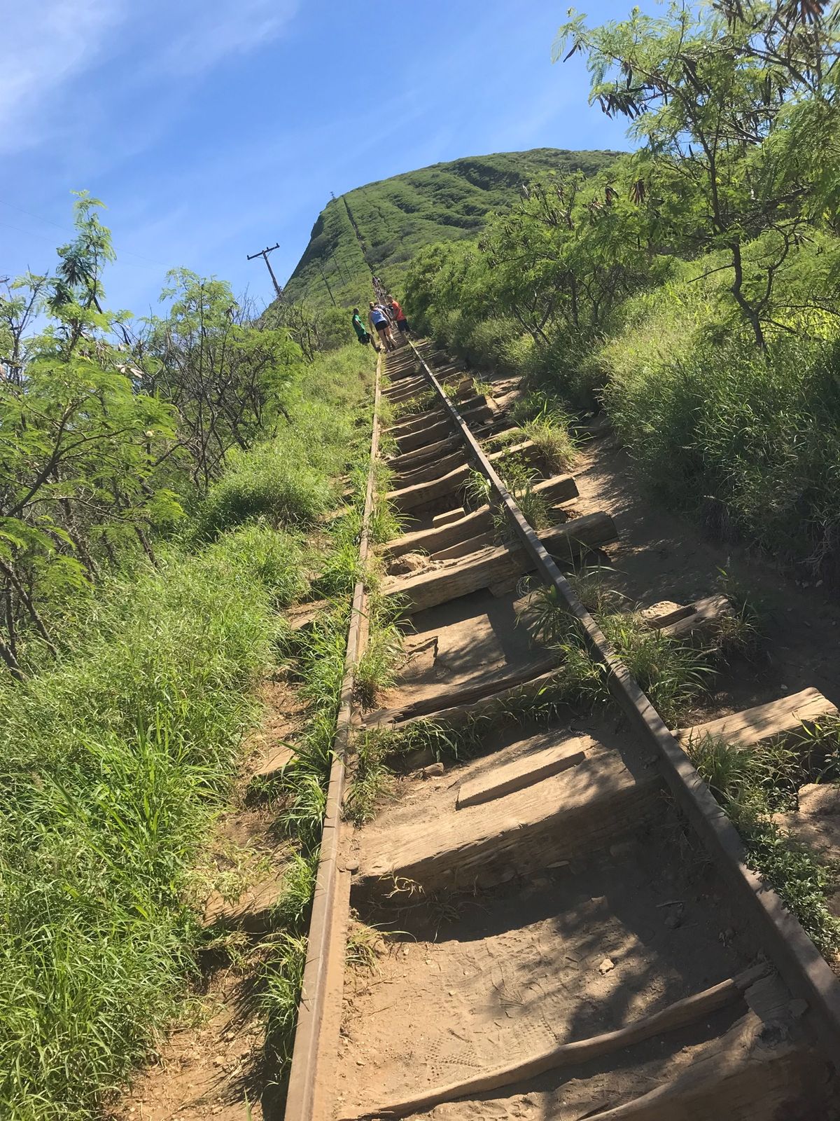 到着後は車で食材や水の調達🚗
ゆったりHawaiiを感じて…
2日目は…コ...