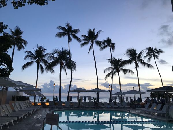 アメリカ(米国)「2018Hawaii」の写真：到着後は車で食材や水の調達🚗
ゆったりH...