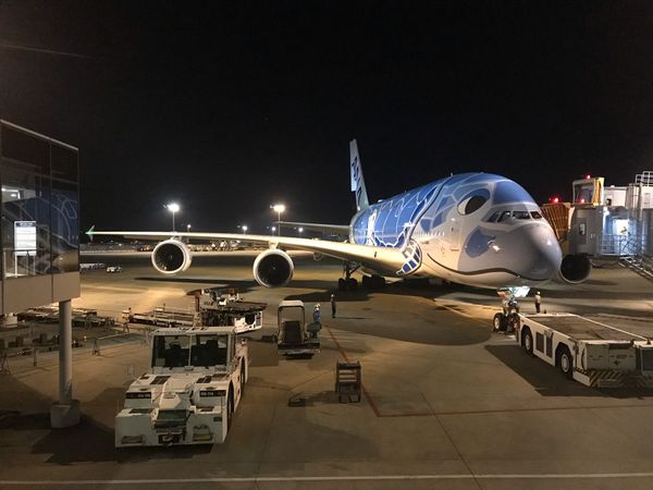 アメリカ(米国)・ハワイ「ハワイ」の写真