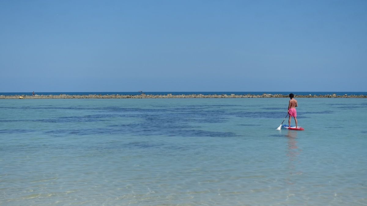 ひたすらのんびりダラダラと