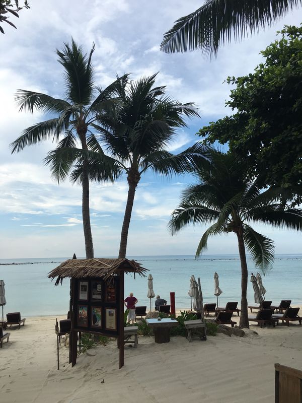 タイ・サムイ島「2019GW  サムイの旅」の写真：ひたすらのんびりダラダラと