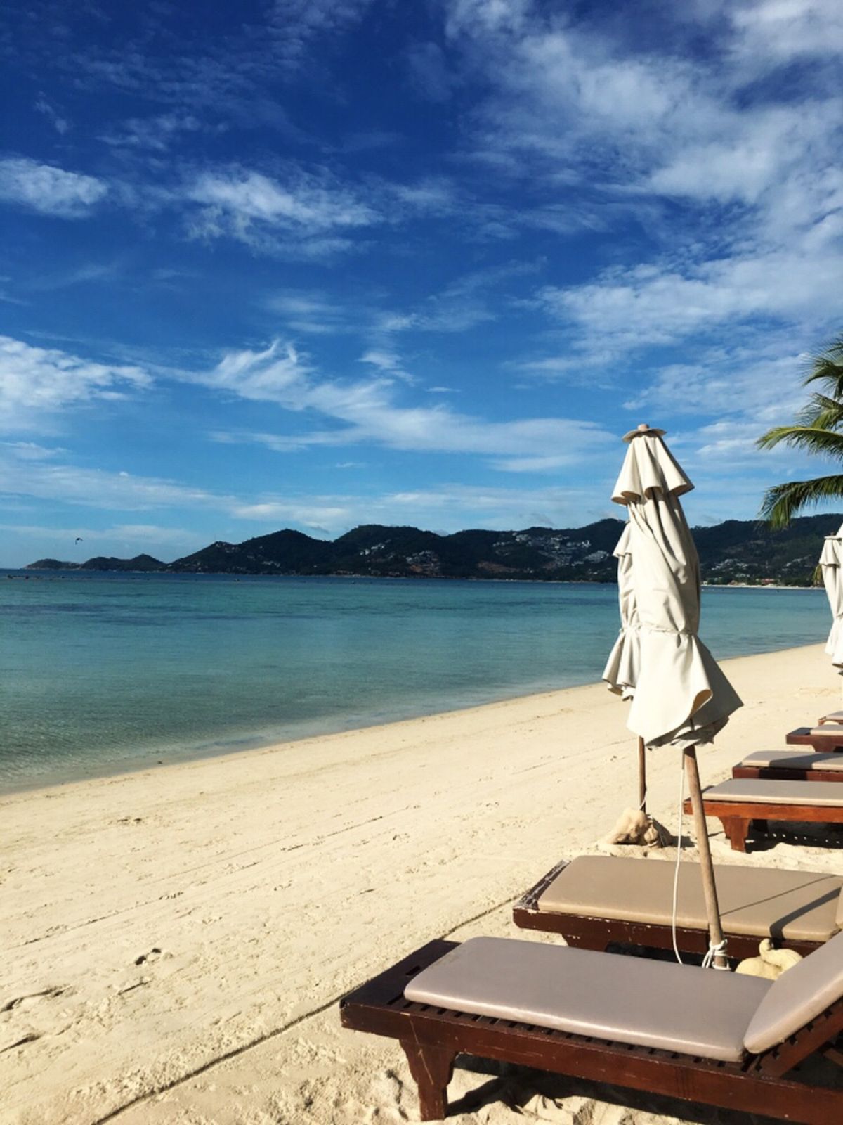 ひたすらのんびりダラダラと