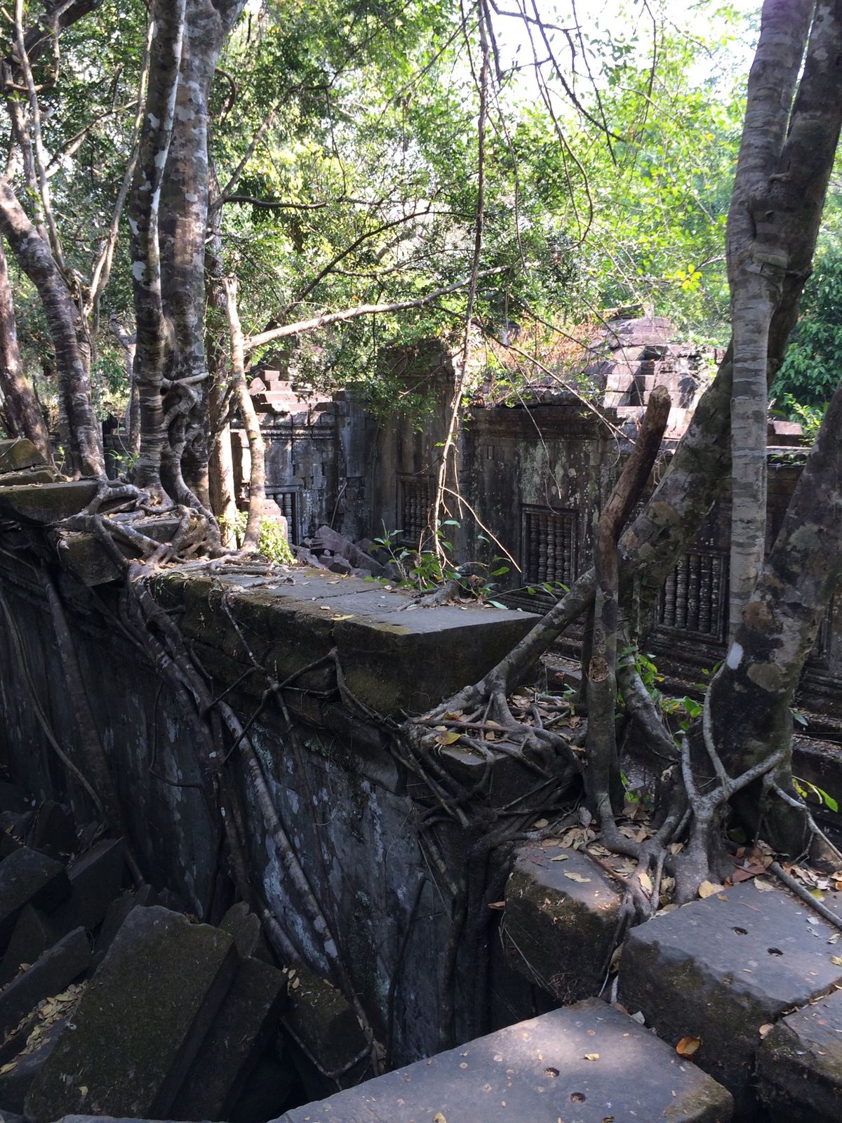 一度は行くべしアンコールワット。ベンメリアも！