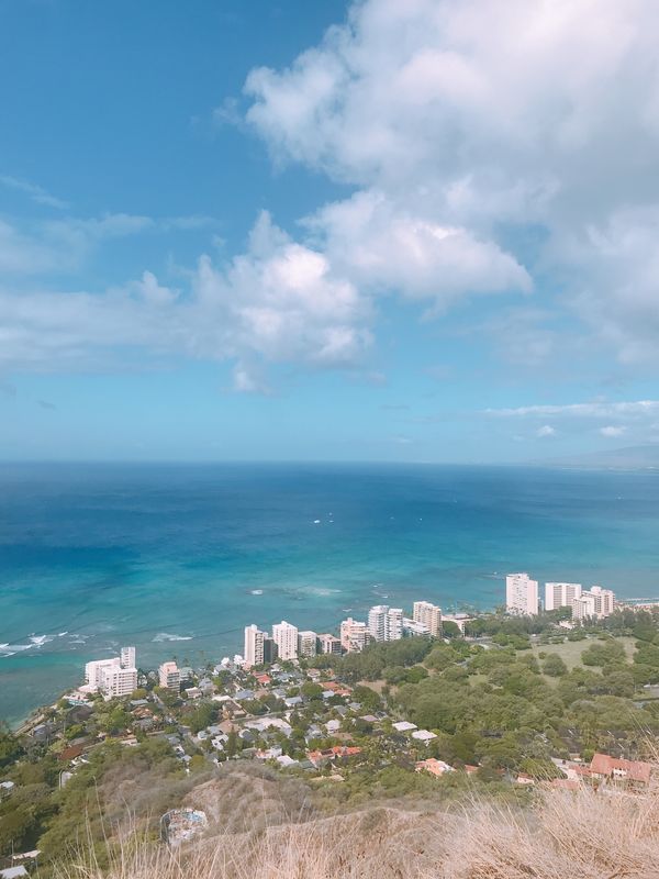 アメリカ(米国)「2017年ハワイ2回目家族」の写真：次の家族旅行はどこに行こうか