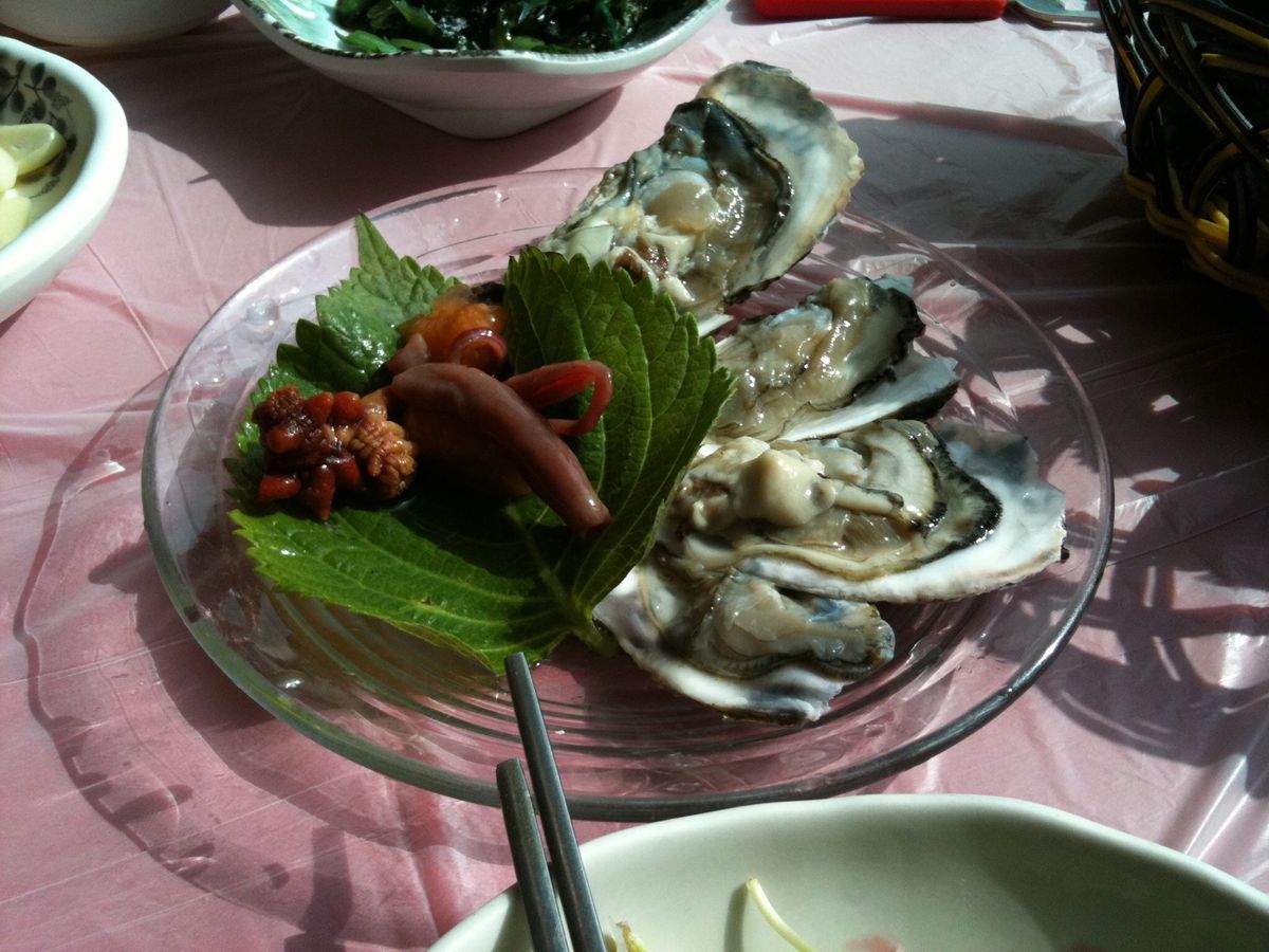 本気で当たってダウンした牡蠣。今だったら絶対に食べないのに若い時の勢いって...