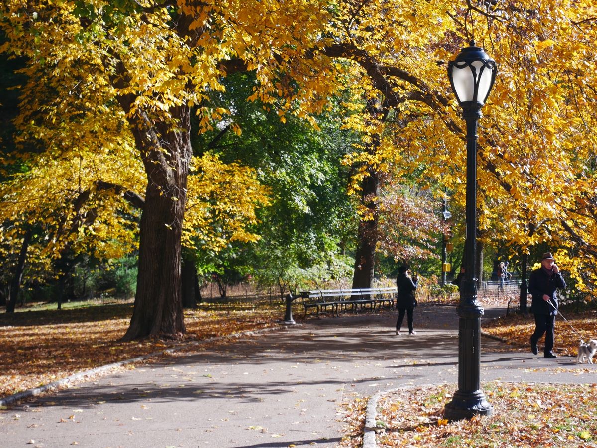 とにかく寒いんだよなぁ
でもそれがNYって感じ