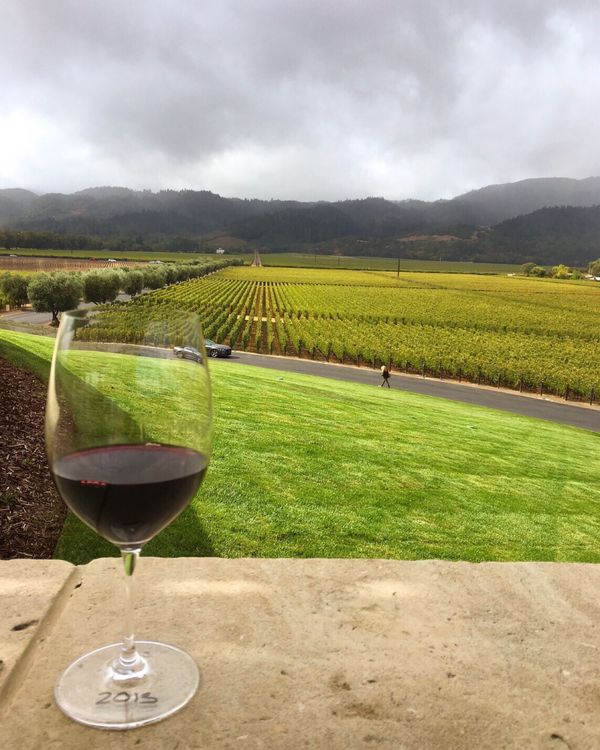 アメリカ(米国)「2016年サンフランシスコ」の写真：このあとマイアミに行こうと思ってたのにハ...