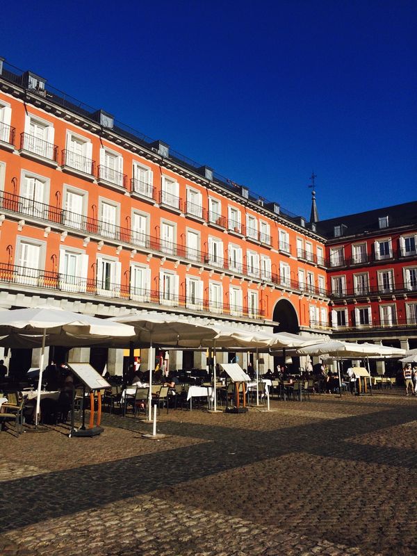 スペイン「2016年スペイン2回目家族」の写真：サグラダファミリアの階段登ったな〜
レン...