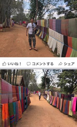 2017.03.12
インデイン (湖の左下)
竹林の中に民族衣装が干して...