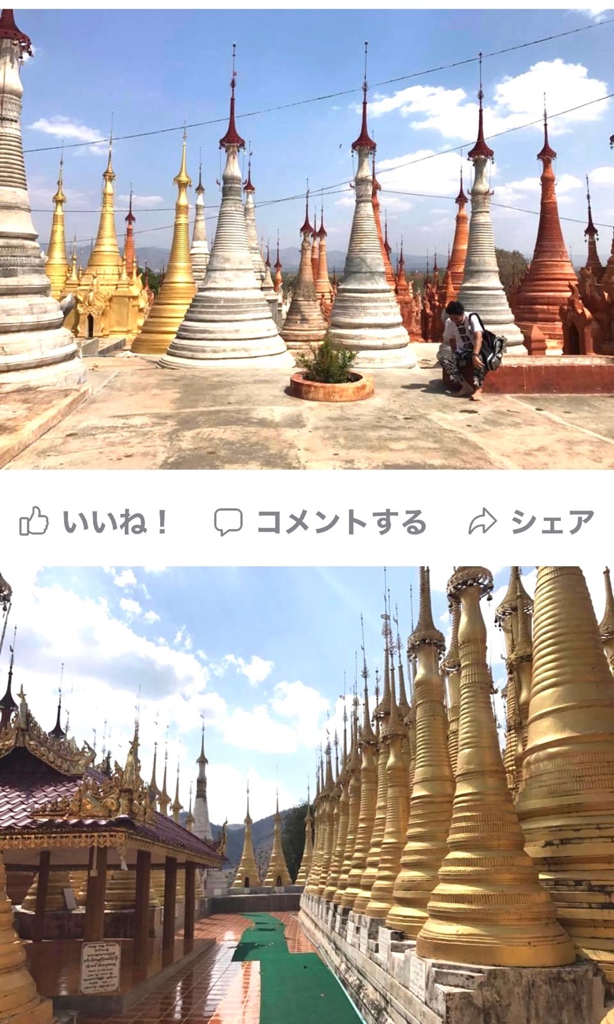 2017.03.12
インレー湖の左下
塔の柔らかい風鈴🎐が涼みます。
お...