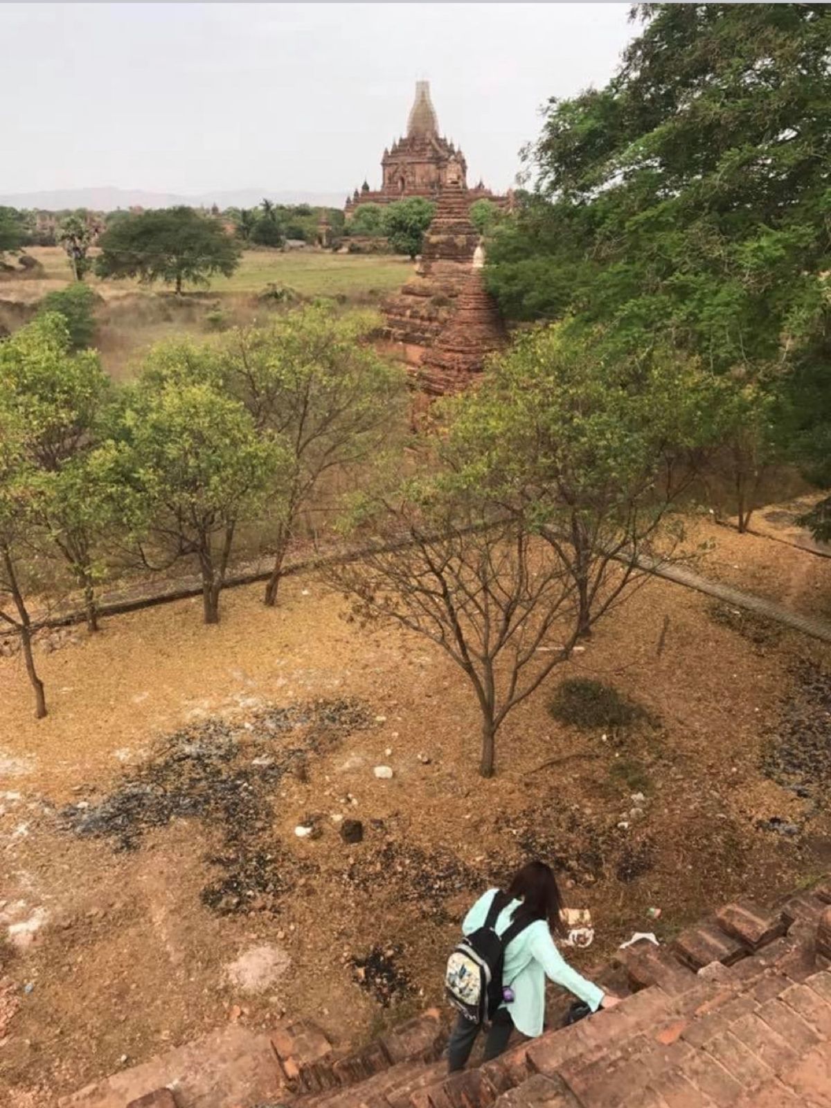 2017.03.10
2回目だと地理がわかりやすい

焼きそば
グリーンカ...