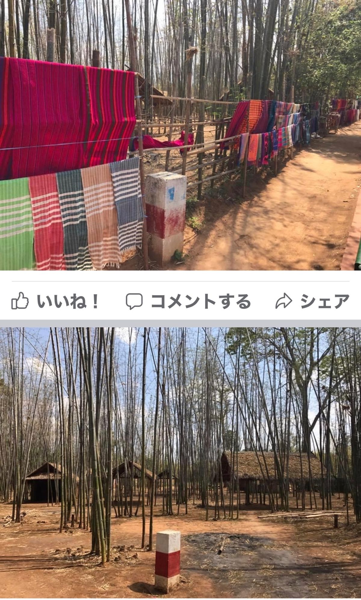 2017.03.12
インデイン (湖の左下)
竹林の中に民族衣装が干して...