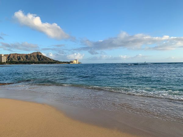 アメリカ(米国)・ホノルル「ハワイ&ニューヨーク家族旅行」の写真：家族の要望を叶えるために、日本→ホノルル...