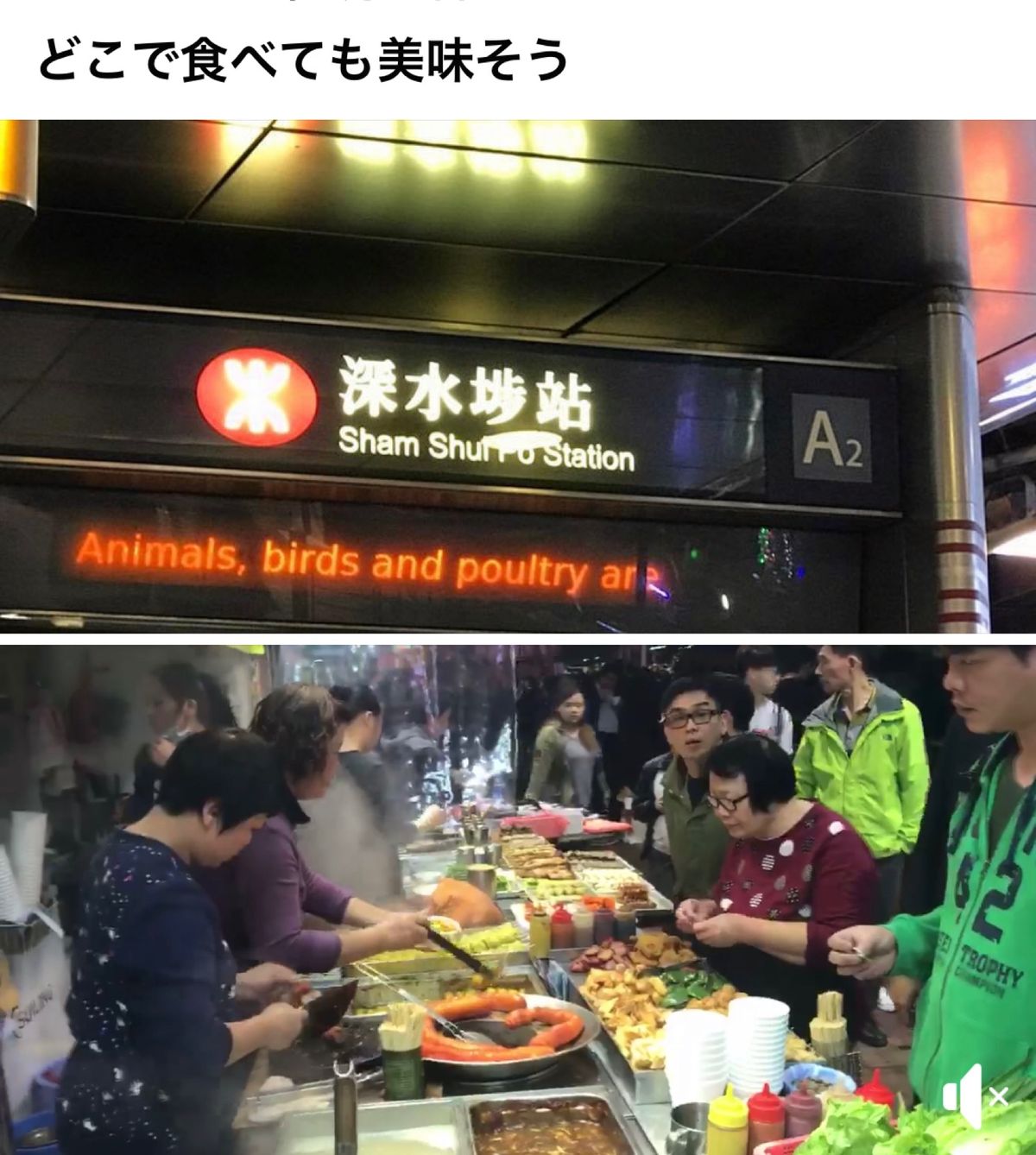 2017.03.17
モンコック駅で待ち合わせしたけど、
街ではWi-Fi...