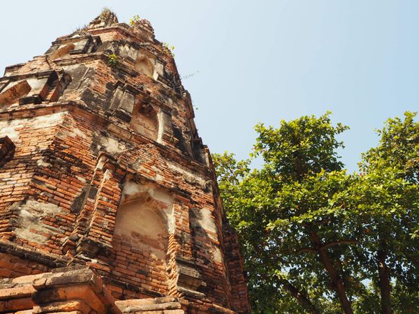 タイ「お仕事バンコク」の写真：アユタヤまで。遺跡を見ていると、僧侶に会...