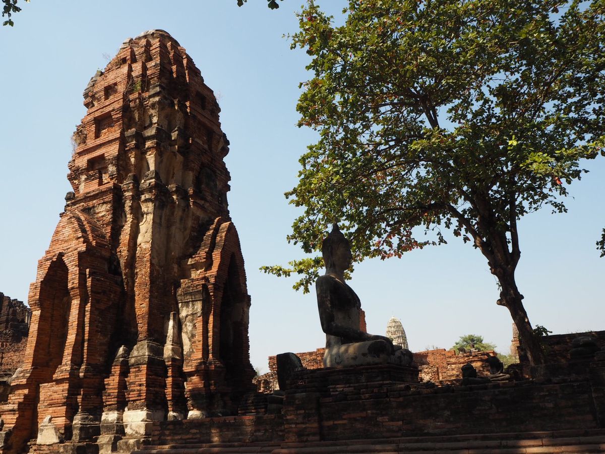 アユタヤまで。遺跡を見ていると、僧侶に会ったり、軍人さんの訓練に遭遇したり...