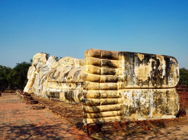 タイ「お仕事バンコク」の写真：ゾウもおでましになりました。