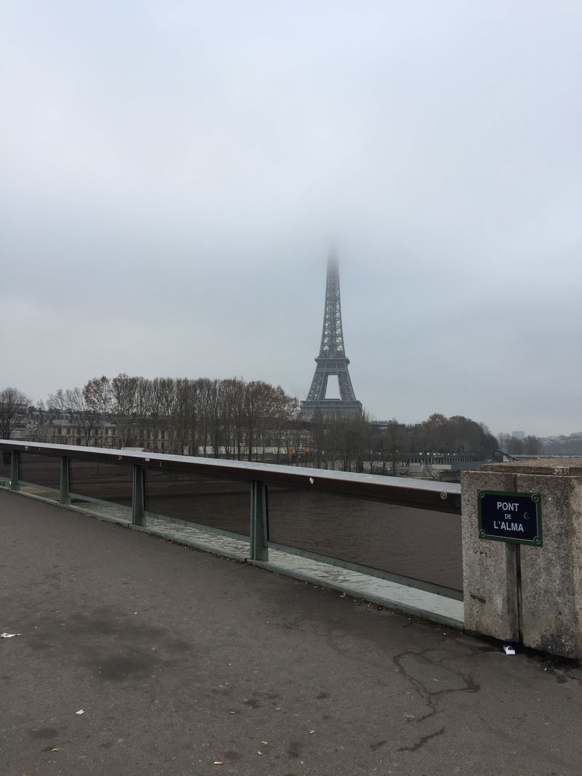 2日目朝一番でセーヌ川クルーズ、バトームッシュに乗りました。パッシーの橋の...