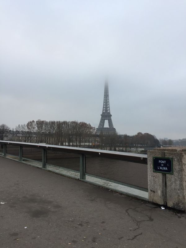 フランス「5度目のパリ」の写真：2日目朝一番でセーヌ川クルーズ、バトーム...