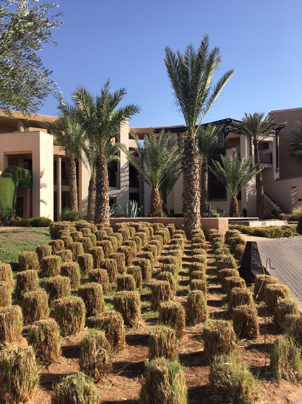 モロッコ・マラケシュ「モロッコ マラケシュ 家族旅行」の写真