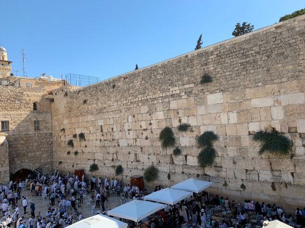 イスラエル「イスラエル」の写真