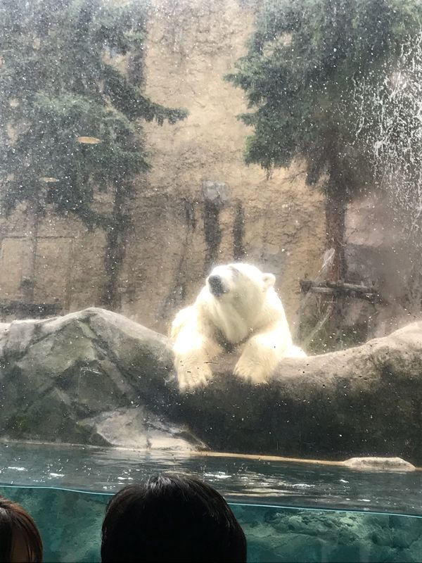 日本・北海道「旭山動物園」の写真