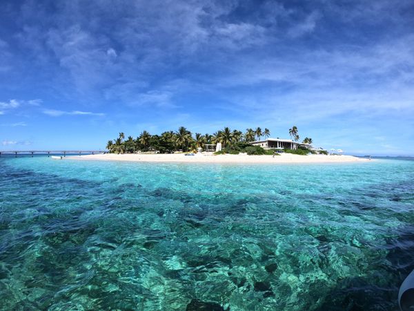 フィジー・フィジー「新しい家族との出会いの旅」の写真