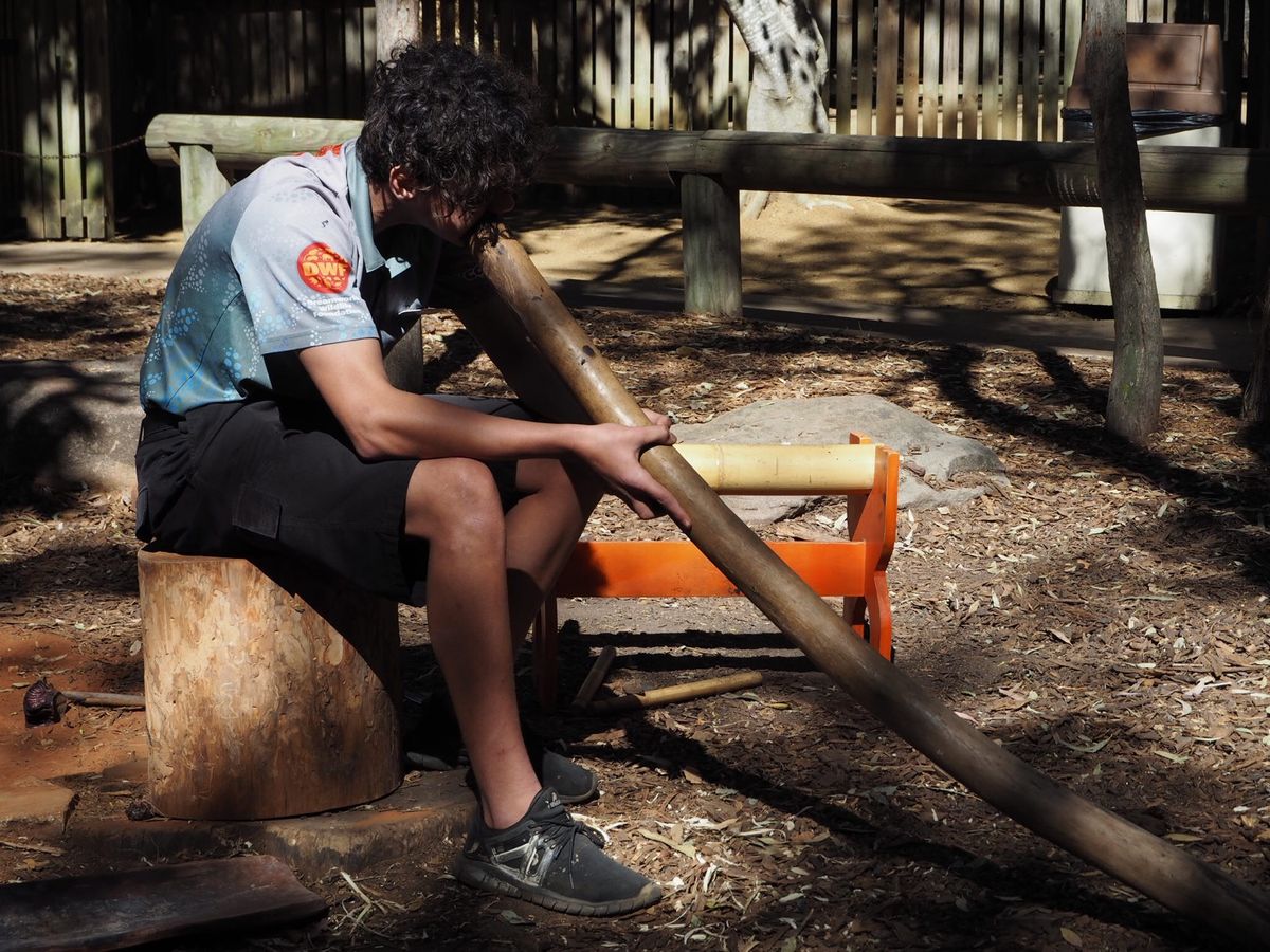 ドリームワールドで出会った動物たち。カンガルーのこのスタイルは案外スタンダ...