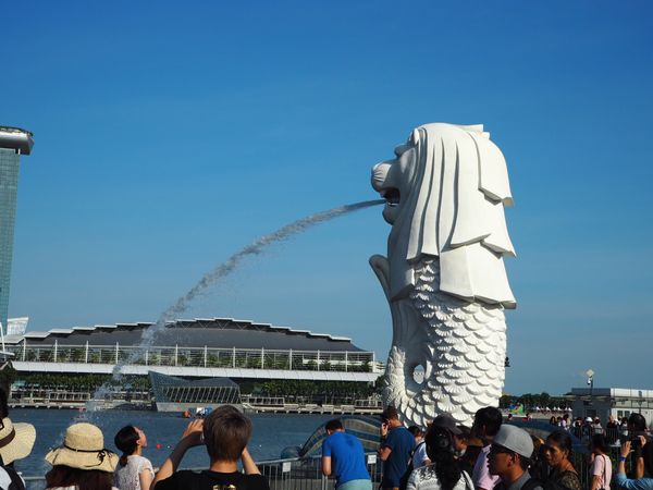 シンガポール「乗換えシンガポール」の写真：夜の街は活気があり、水上バスで街中を遊覧...