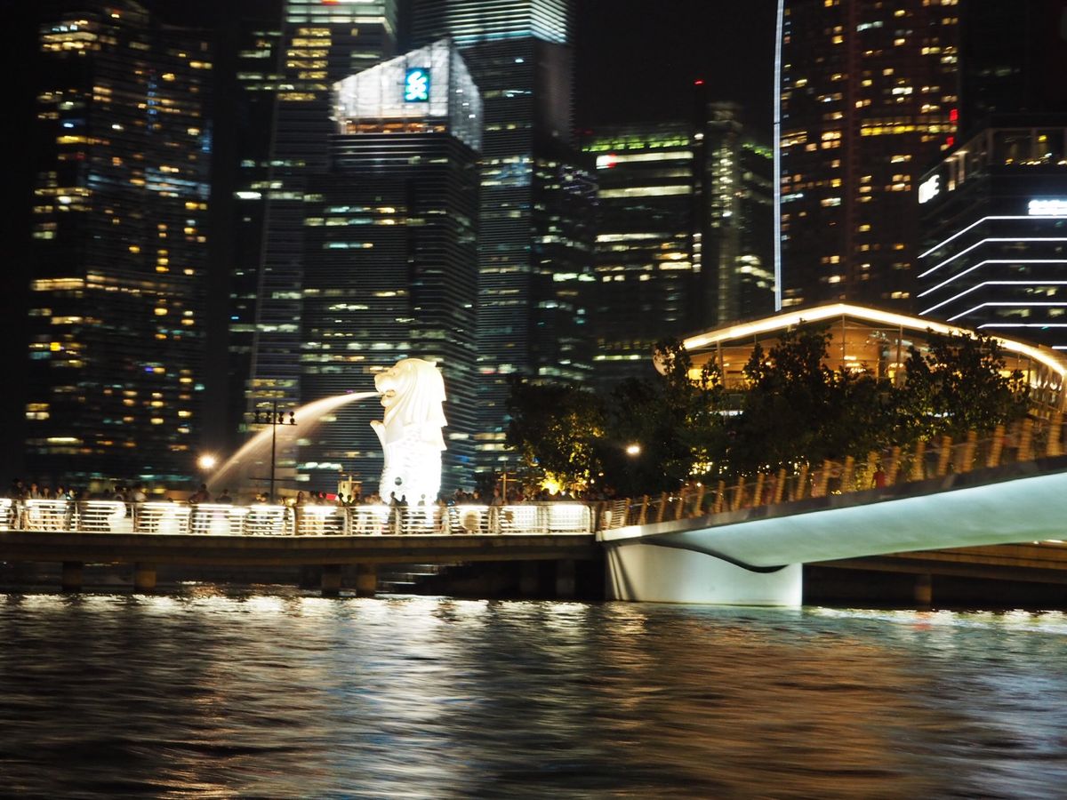 夜の街は活気があり、水上バスで街中を遊覧しました！アジアの夜ってなかなかロ...