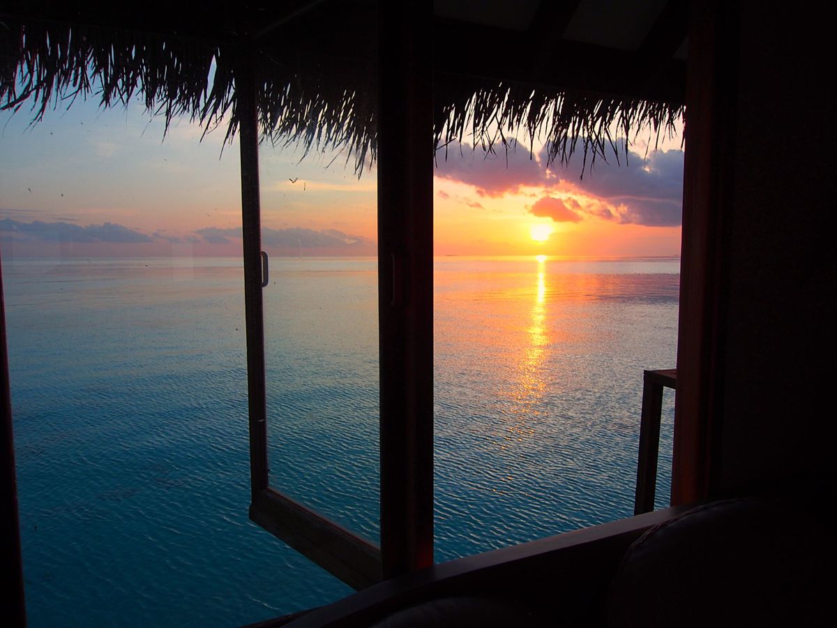 リゾートが保有している小さな小さな離島がすぐ近くにあり、そこに連れてっても...