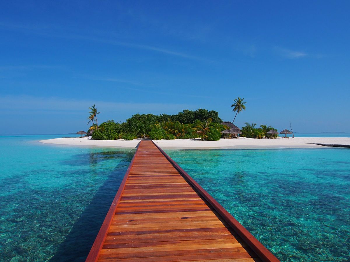 リゾートが保有している小さな小さな離島がすぐ近くにあり、そこに連れてっても...