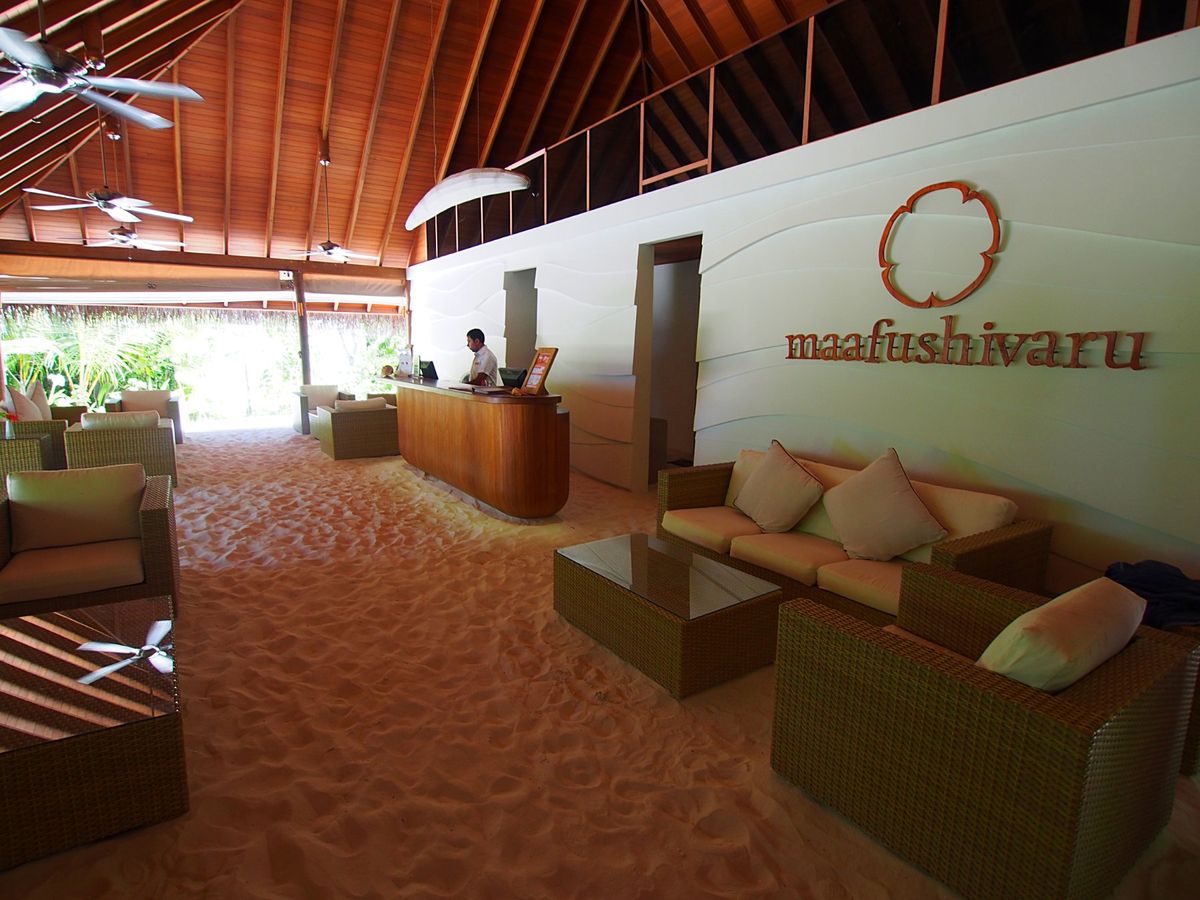 リゾートが保有している小さな小さな離島がすぐ近くにあり、そこに連れてっても...