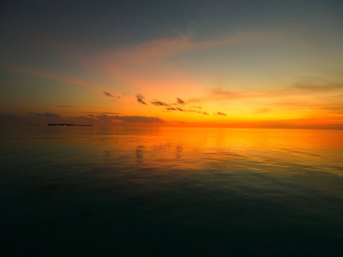 リゾートが保有している小さな小さな離島がすぐ近くにあり、そこに連れてっても...