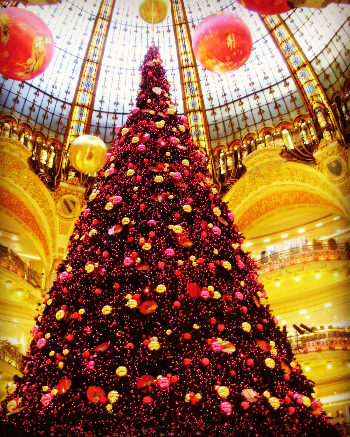 ギャラリーラファイエットのクリスマスツリー🌲
この年はこんなんでした。
ク...