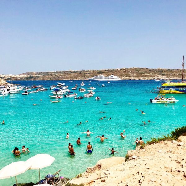 マルタ「マルタ」の写真