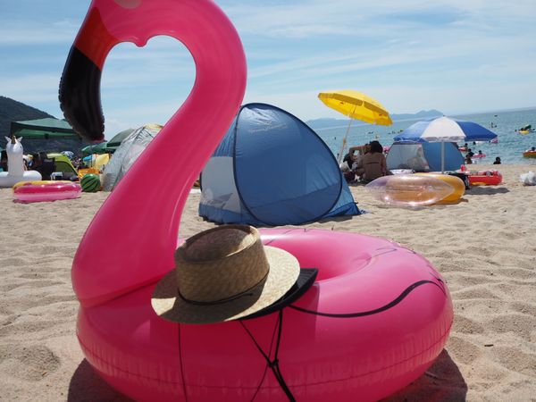 日本「水晶浜へ大人の海水浴」の写真：このフラミンゴ🦩が海に映える最強の晴天で...