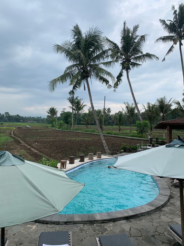 インドネシア・ジョグジャカルタ「マレーシアからインドネシア仏教遺跡を訪ねる」の写真：翌日　ジョグジャカルタから
ボロブドゥー...