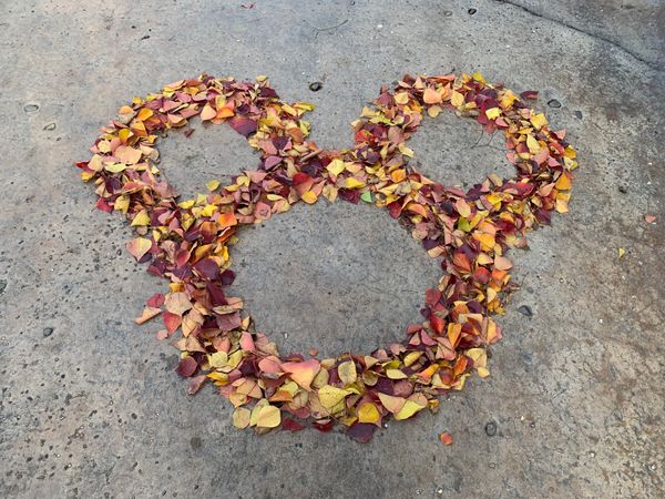 中国「中国（２）▷ 上海」の写真