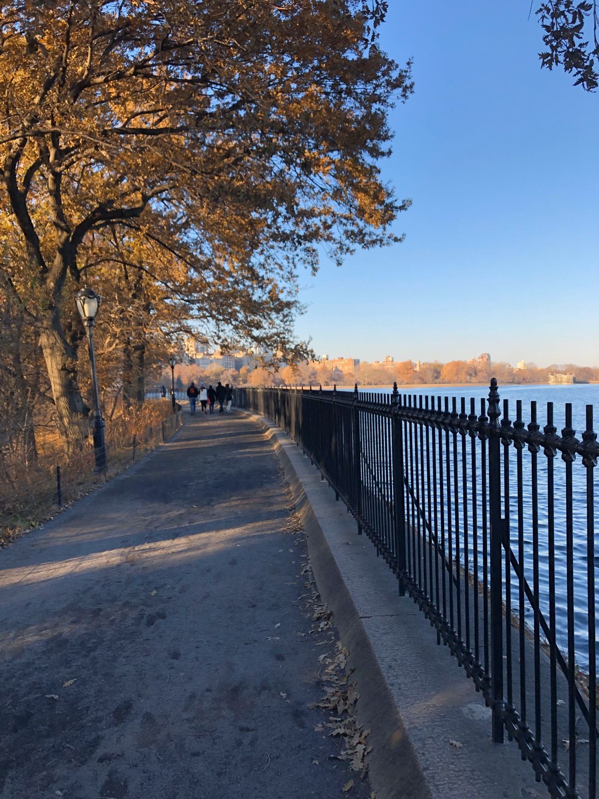 セントラルパーク