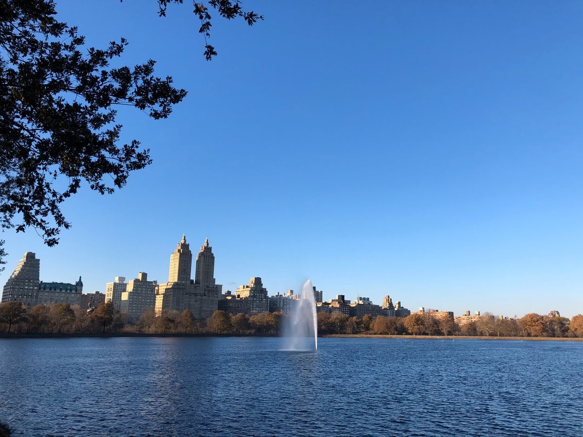 セントラルパーク