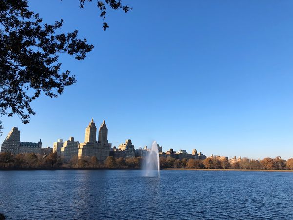 アメリカ(米国)・ニューヨーク「アメリカ・ニューヨーク」の写真：セントラルパーク