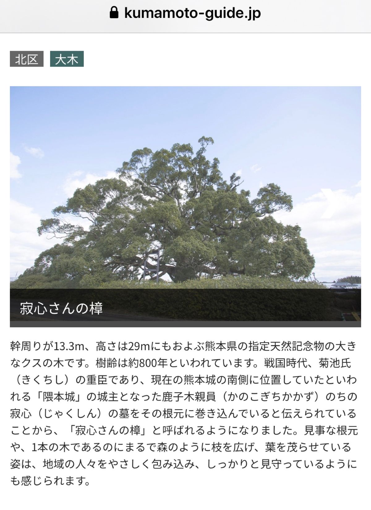 2020.06.06
日本で2番目に大きい楠木
1番は鹿児島蒲生神社⛩です。
